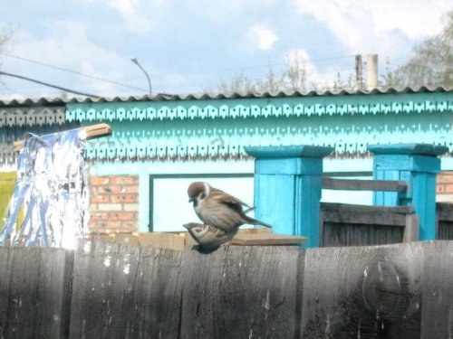 Вторая кладка.