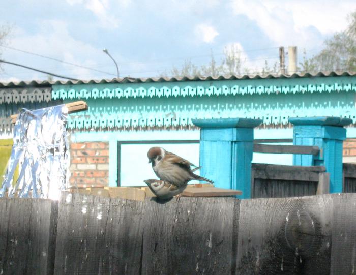 Вторая кладка.