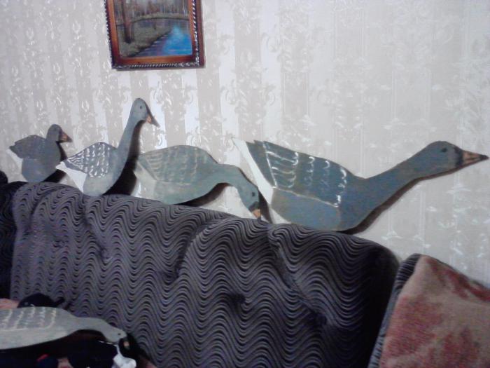 Мои профиля гусей