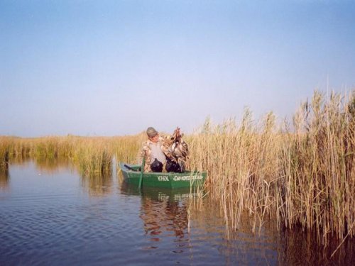 Перестрела нет.