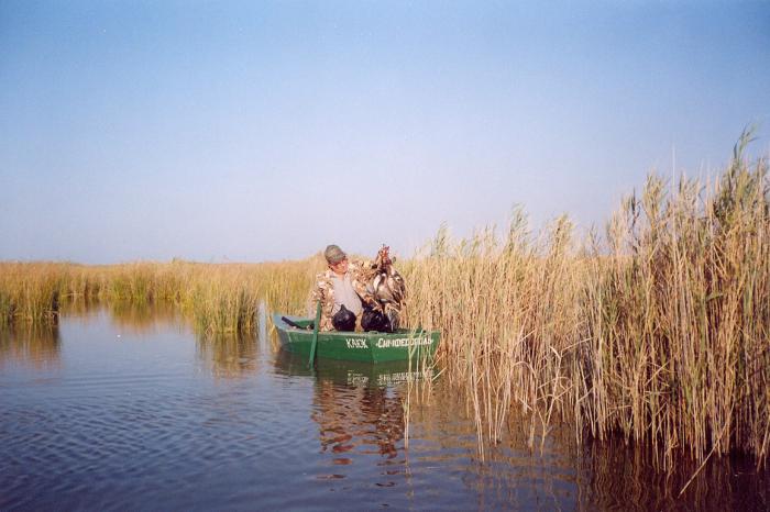 Перестрела нет.