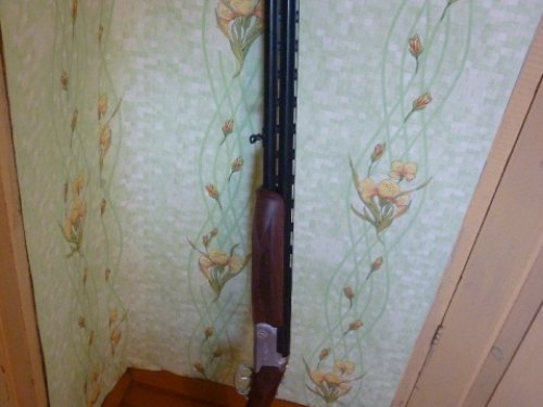 cz mallard
