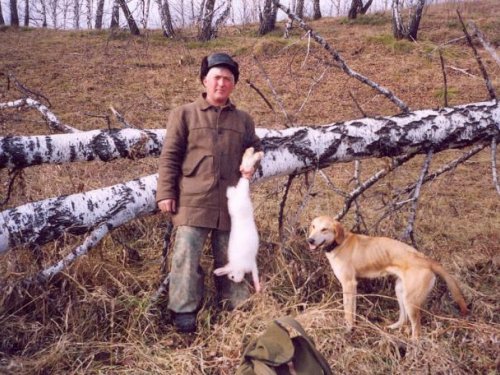 2007  Забавка