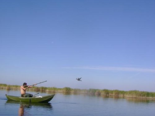 и весло стреляет