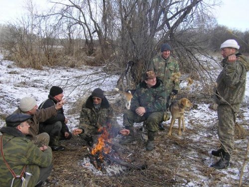 Испытания гончих май 2008