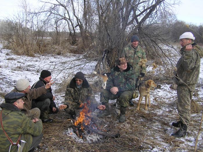 Испытания гончих май 2008