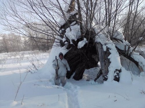 Домик Лешего