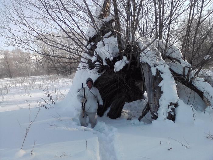 Домик Лешего