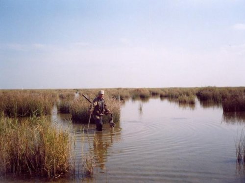 Брат.