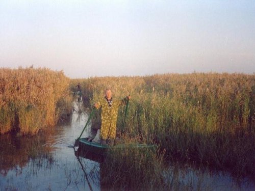 Племянник