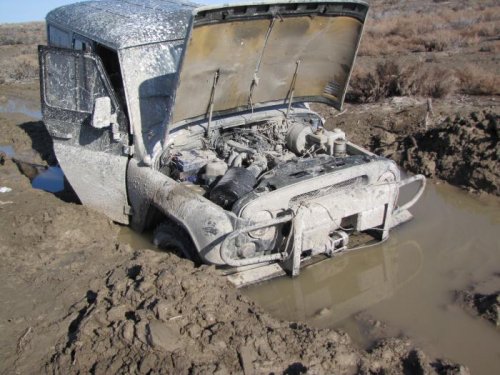 В капкане