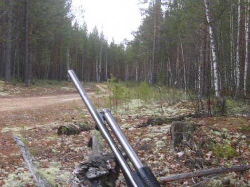 Глухарь  ушел...,  рябчик  остался....