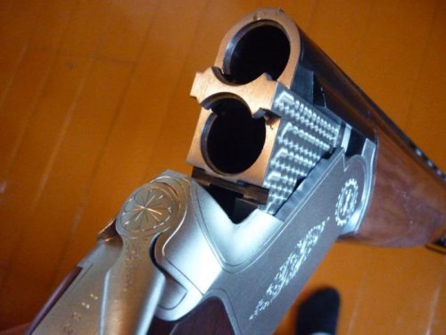cz mallard