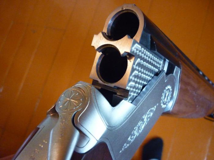 cz mallard