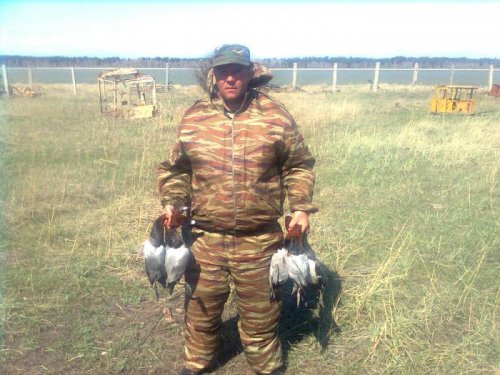 весна 2011