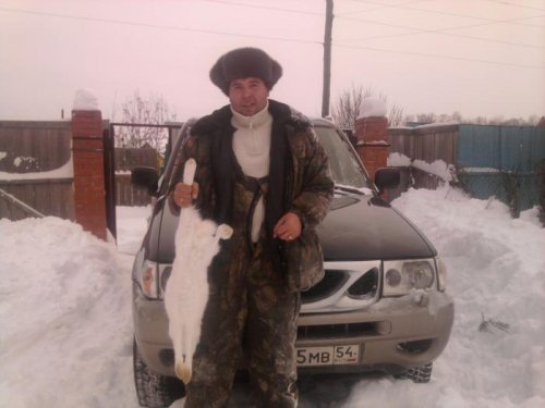 Дачный зайка