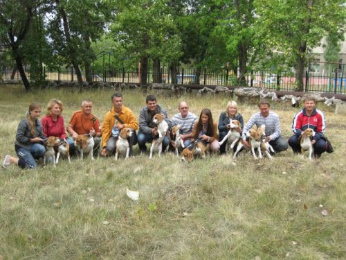 Биглеслёт