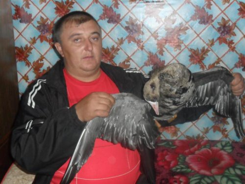 Удачный выстрел