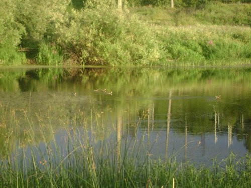 Чирки.