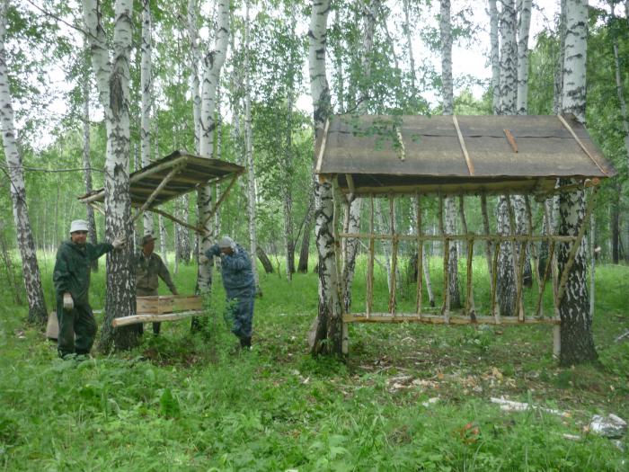 поработали в лесу