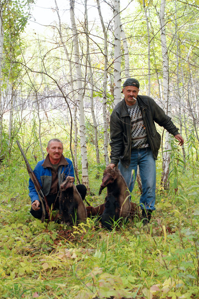 Пара с одной норы, осень 2008