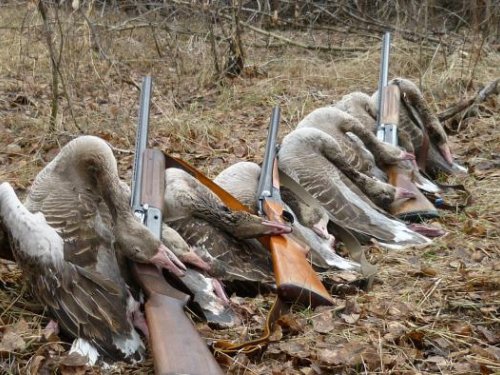 Весна!!!2011Алтайский край
