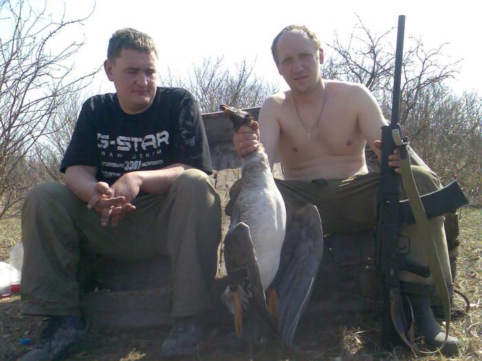 Сайга не подвела