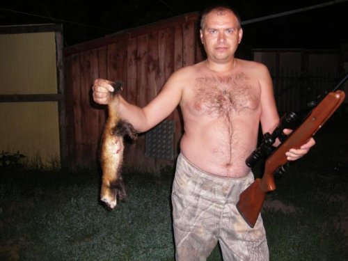 Ночная добыча Гула...