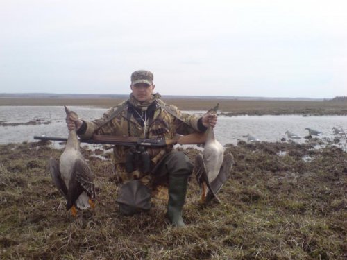 гуси 2011