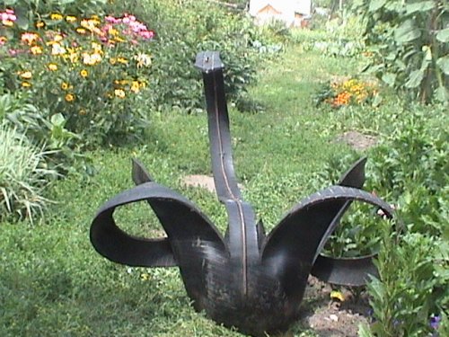 Чёрный лебедь
