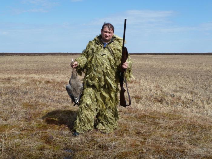 Белолобик