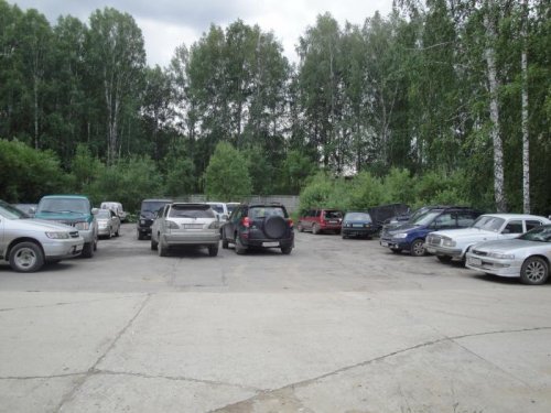 И все эти машины были обклеены логотипом нашего сайта