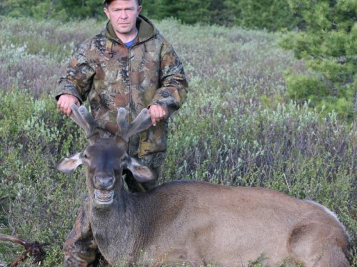 altai с "пантачем", июнь 2011