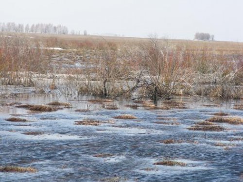 Весна 2009