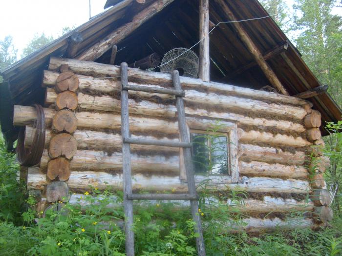 Вид сзади.