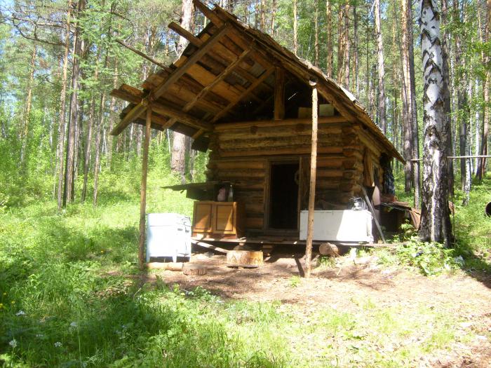 Зимовьё на берегу Илима.