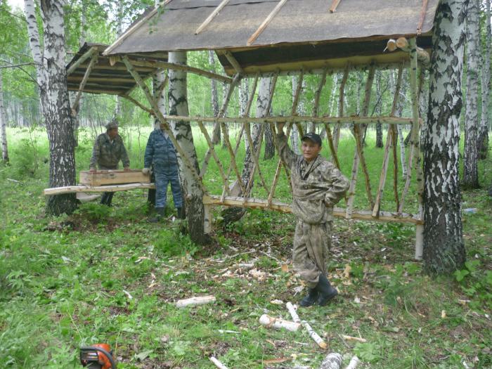 Поставили новую кормушку,солонец