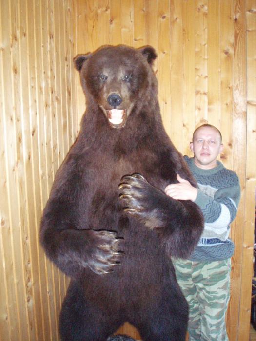 ТРОФЕЙ 2006 ГОДА . ТВЕРСКАЯ ОБЛАСТЬ