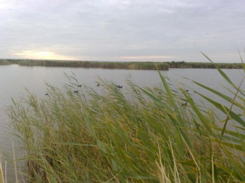 Мой скрадок