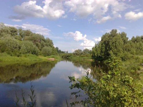 река жиздра