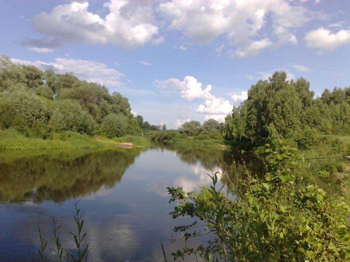 река жиздра