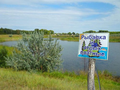 Платная рыбалка в Поспелихе.