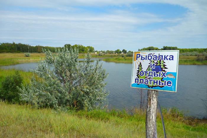 Платная рыбалка в Поспелихе.