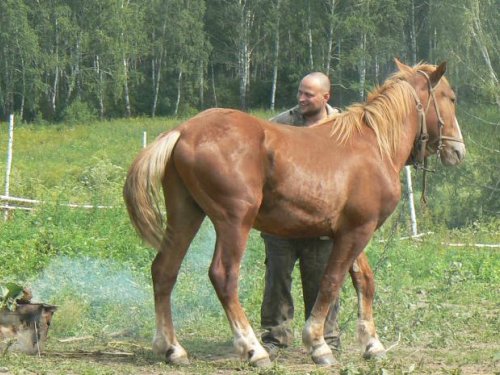 Подарили новый "внедорожник"