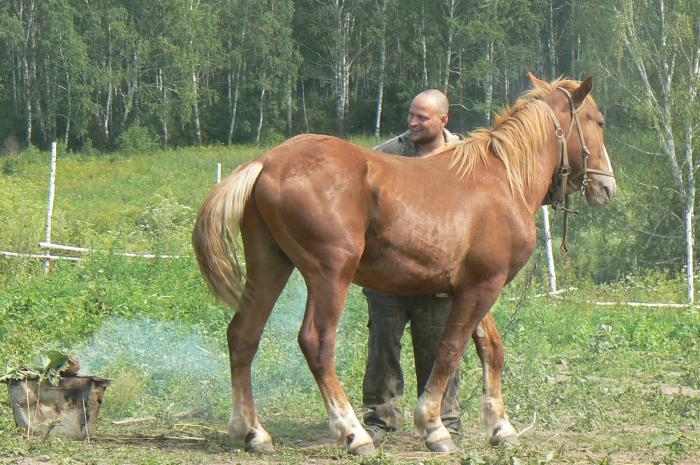 Подарили новый "внедорожник"
