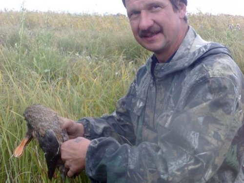 Андрюха друг при деле 