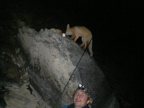 Спиннинги в сторону! Покупаем "фоторужья")))