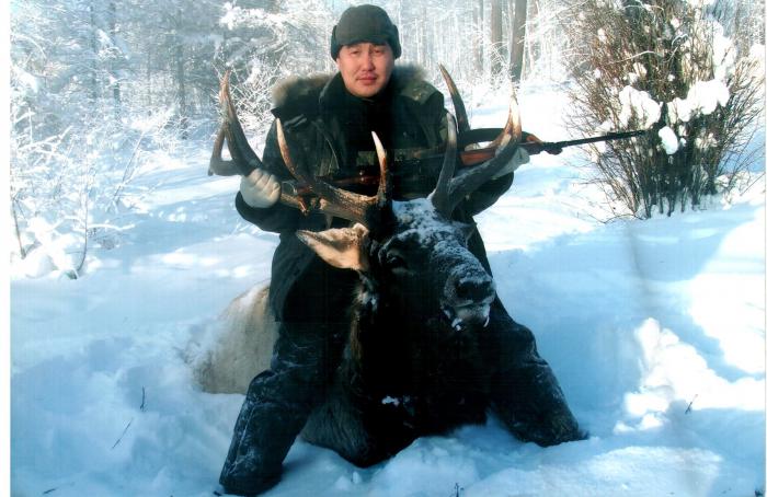 благородный олень – Изюбр.