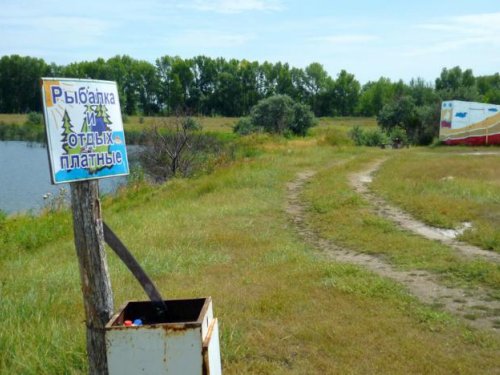 Платная рыбалка в Поспелихе.