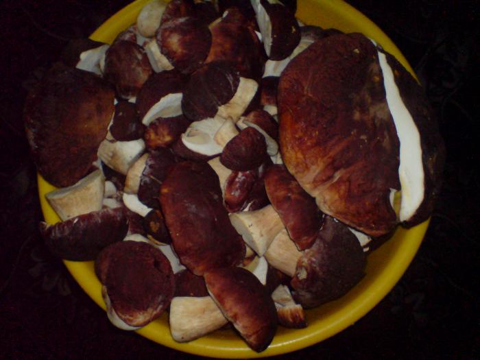 Боровики.